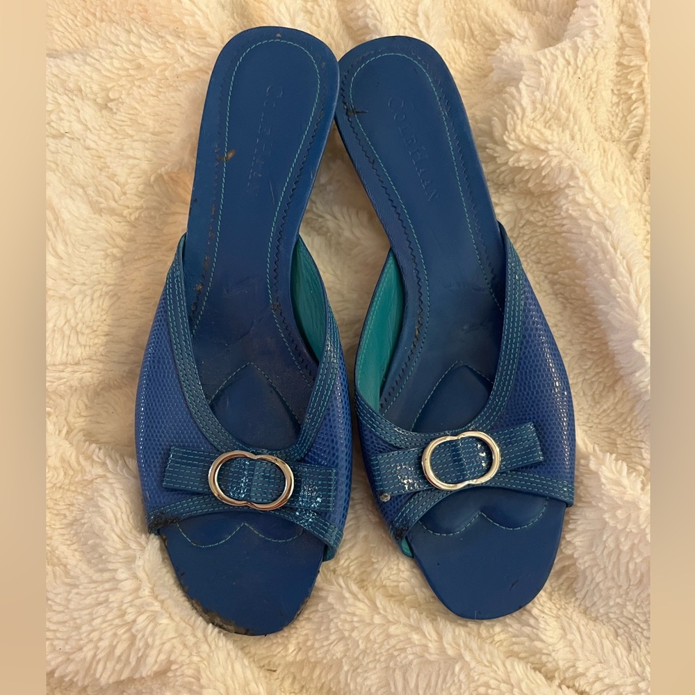 Cole Haan Blue Women's Sandals with Buckle